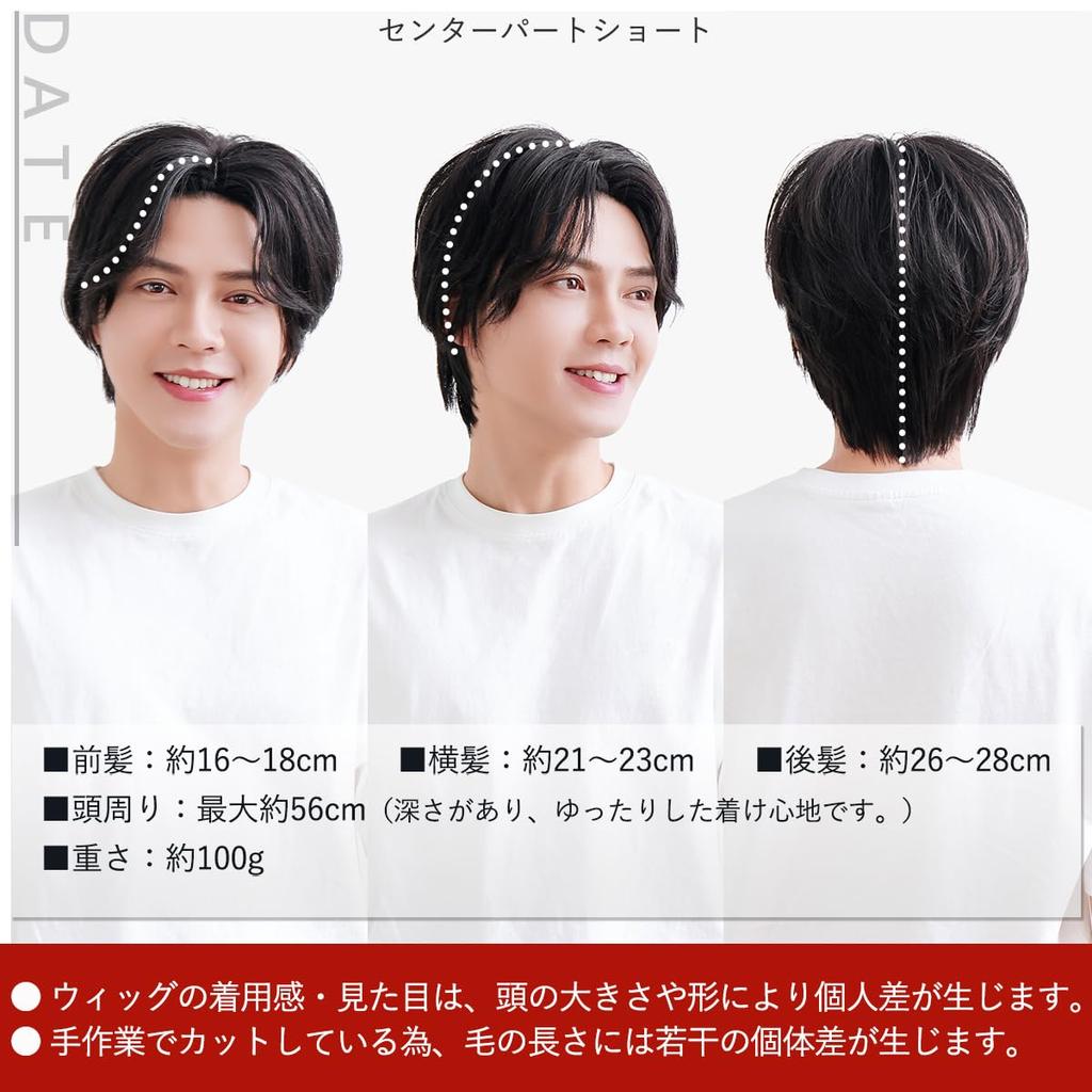 TefuRe Herrenperücken, J-hair Mitglied, 2024 Innovativer Stil Herrenschwarze Perücke, Mittelscheitel, Natürliche Frisur, Mittelscheitel Kurz, Koreanischer Stil, Natürliches Schwarz