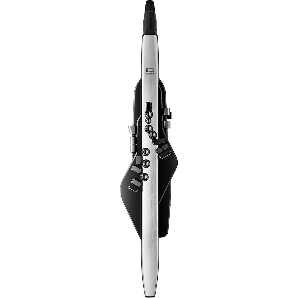 Roland /Aerophone PRO AE-30 Aerophone Digital Wind Instrument