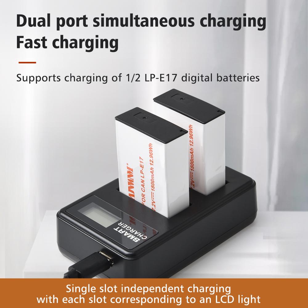 1800mAh LP-E17 LP E17 Camera Battery with USB Cable Charger for Canon EOS RP 200 250D M3 M5 M6 750D 760D T6i T6s 800D 8000D 77D Kiss X8i