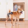 Reusable Pet Sanitary Shorts Soft Elastic Pet Anti Harassment Pants  Pet Menstrual Care