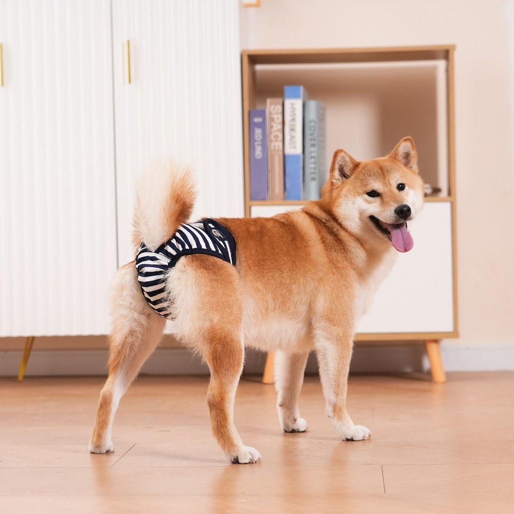 Reusable Pet Sanitary Shorts Soft Elastic Pet Anti Harassment Pants  Pet Menstrual Care
