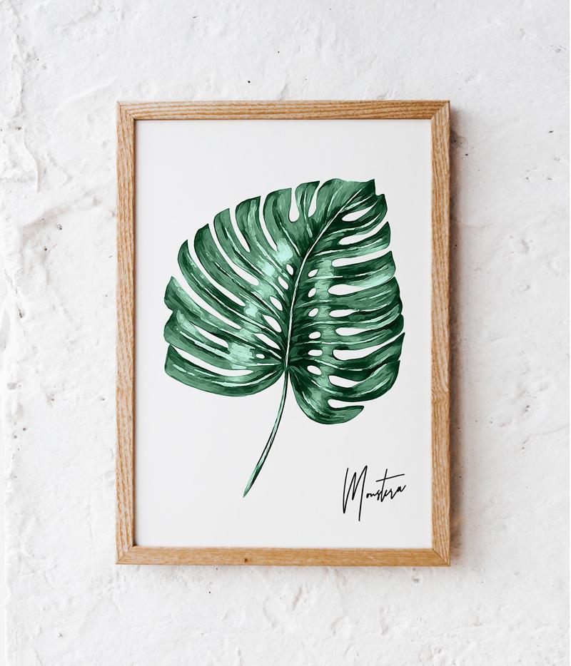 Monstera Poster Signed