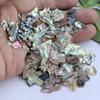 Handmade Natural Abalone Shell Fragments for Jewelry and Nail Art Design