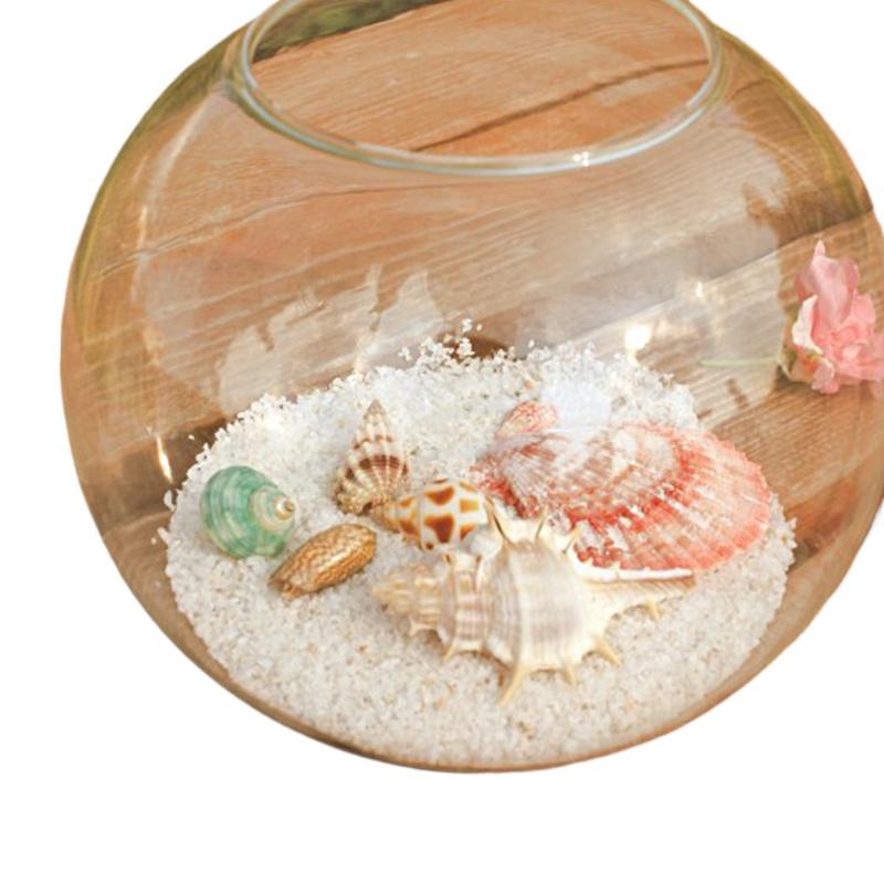 8/10/12/15cm Round Ball Vase Micro Landscape Moss Ecological Bottle Transparent Hydroponic Vase Simple