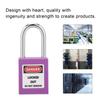 5Sets 38mm Padlock Lockout Tagout HardWearing with 10 Keys Writable Label for Machine Building Security(Green )