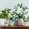 1Pc Plant Support Garden Stake Stand Round Vine Climbing Rack Ironheart-Shaped Flower Trellis Frame Stand Holder Plastic Decor