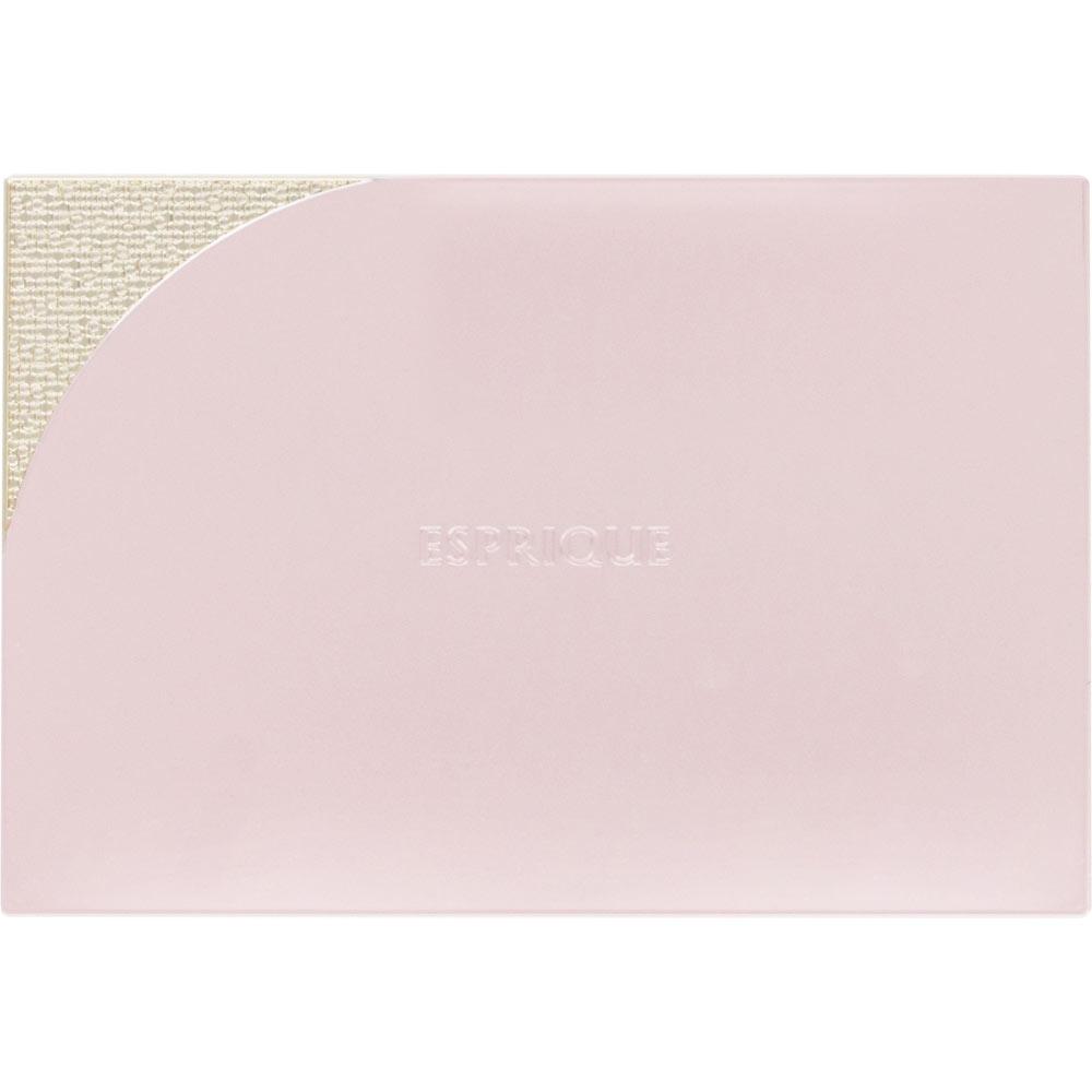 Kose Esprique Powder Foundation Case C