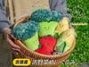 Yoshitoku Vegetable Friends Sweet Corn Plush Size 180256 Toy, H18.5cm,