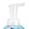 Walch Health Care Foaming Hand Wash