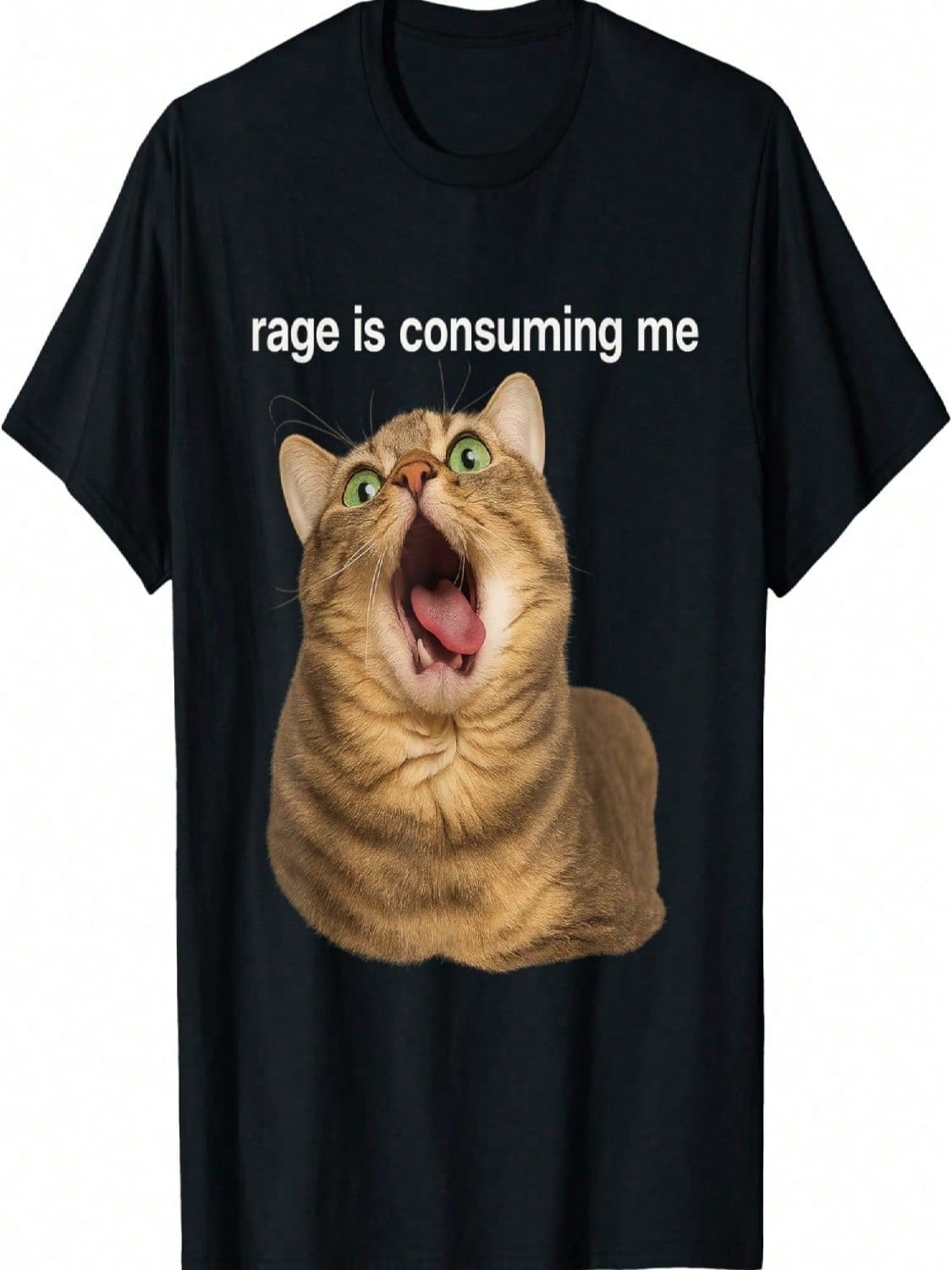 Funny Cute Rage Is Consuming Me Silly Cat Meme T-Shirt S разноцветный