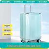 Four Thousand Miles Transparent Luggage Cover