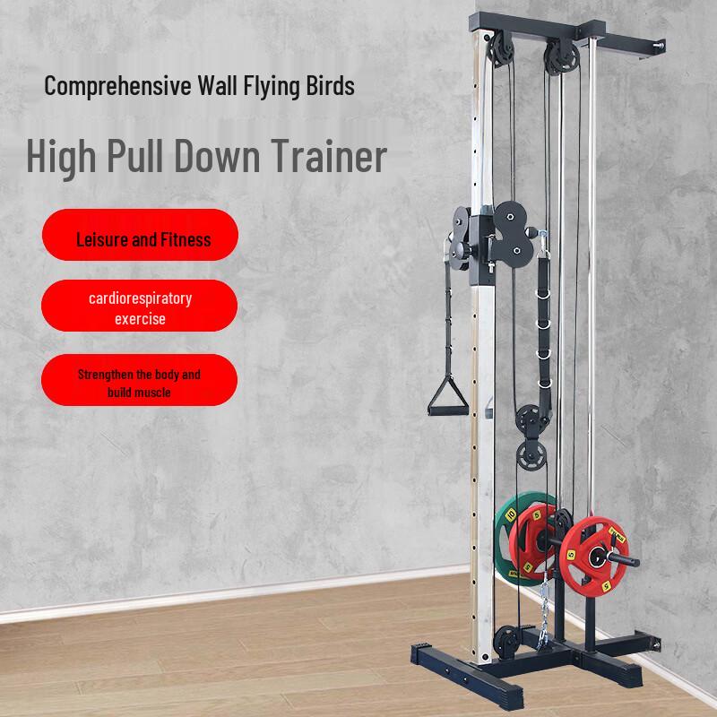 Canglangya Wall-Mounted Multi-Station Home Gym