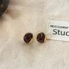 Maillard Coffee Color Amber Earrings Women's Autumn and Winter High-end Commuter Style Earrings Light Luxury Niche Design Earrings