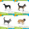 Pvc Toy Small Breed Dog Animal Model For Kids Play And Educational Use