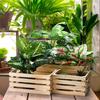 Handle Wood Nesting Storage Crates Handcrafted Storage Container Wood Basket  Vegetable