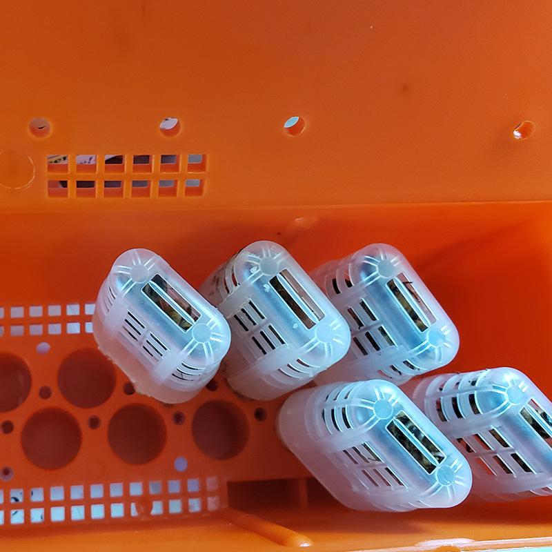 Queen Bee Transportation Cage Beekeeper Bee Rearing Incubator Bee Moving Isolator Bee Queen Protection Case Beekeeping Supplies