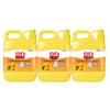 Liby Orange Essence Dishwashing Detergent