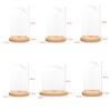 Clear Glass Display Dome with LED Wood Base Microlandscape Holder Glass Cover  for Birthday Gift Bedroom Home Decoration