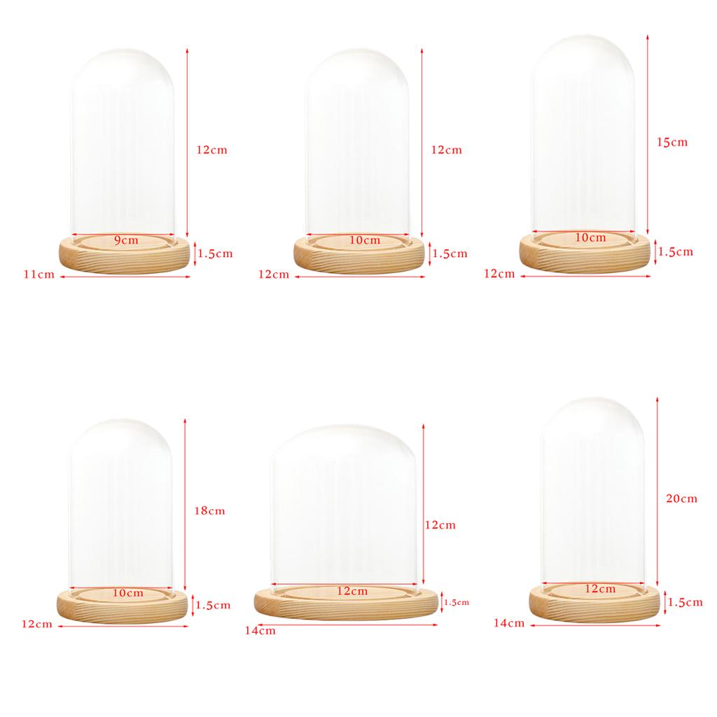 Clear Glass Display Dome with LED Wood Base Microlandscape Holder Glass Cover for Birthday Gift Bedroom Home Decoration