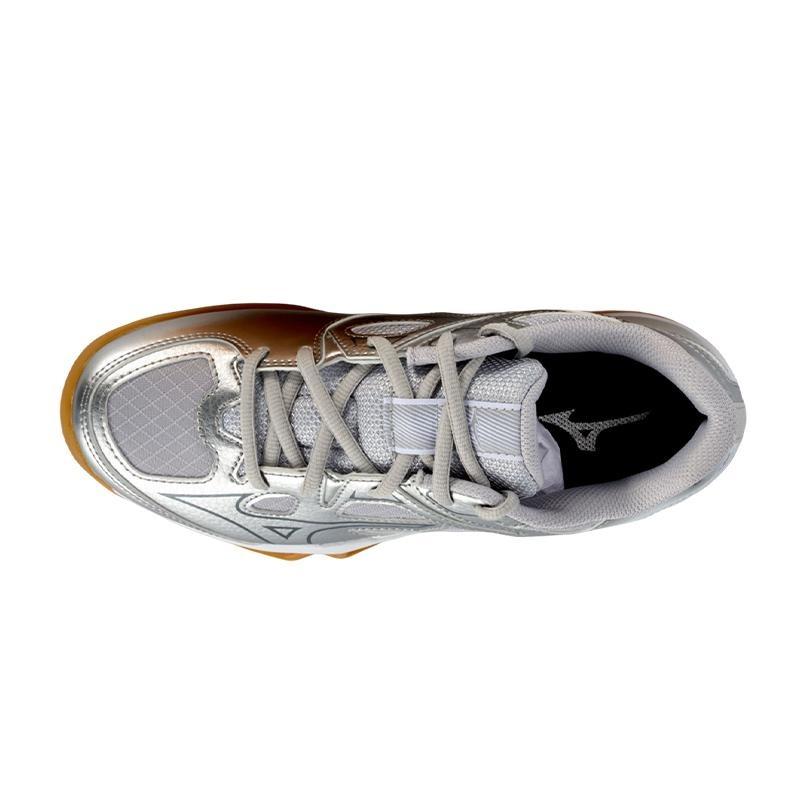 Mizuno WAVE SMASH CN unisex badminton sneakers millennium silver 71GA253002