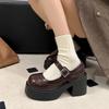 2025 Autumn Platform Thick Heel Mary Jane Small Leather Shoes Women's Black British Retro College Style Light Mouth New Single Shoes
