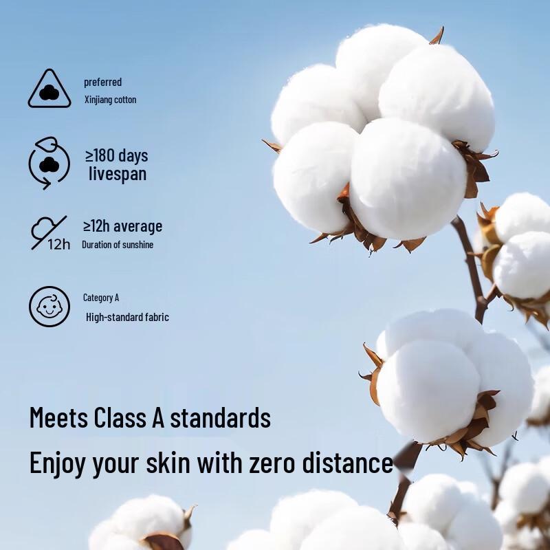 

BADIGAO Men s Disposable Boxers 2XL