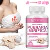 Pueraria Mirifica Nahrungsergänzungsmittel, enthaltend eine 10:1 konzentrierter Extrakt, rein natürlich, zur Unterstützung des Immunsystems.