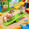 Pet Exercise Toy Plastic Hamster Seesaw Toy Colorful Puzzle Small Animal Toys Creative Rodents Seesaw Pet Sport Exercise