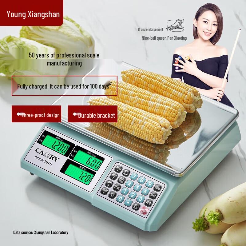 

CAMRY 30kg Commercial Electronic Platform Scale (CN version)