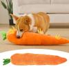 Cães – Brinquedos para cães