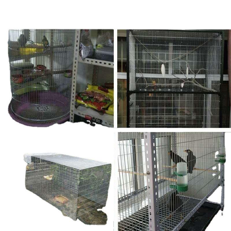 Jaula de Malla de Hierro Galvanizado para Pájaros y Mascotas Pequeñas