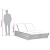 Double Sun Lounger with Cushions Beige Poly Rattan