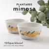 Minoru Pottery Mino Ware PLANTAREE-mimosa- 105 Pack Bowl Set of 2
