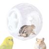 Hamster Ball 21cm Sturdy Plastic Exercise Wheel Toy for Guinea Pig Rabbit Small Pets Temporary Space