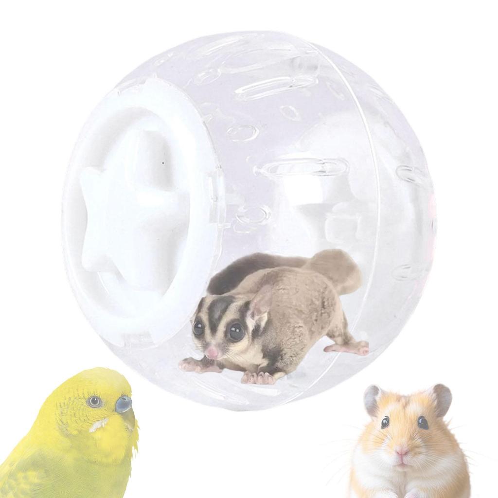 Hamster Ball 21cm Sturdy Plastic Exercise Wheel Toy for Guinea Pig Rabbit Small Pets Temporary Space