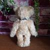 [USED] Vintage Teddy Bear, Artist Unknown