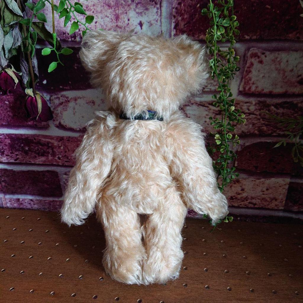 [USED] Vintage Teddy Bear, Artist Unknown