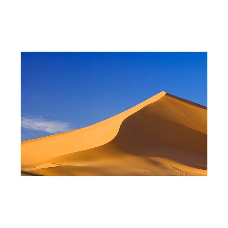 Desert Series Photography Background Natural Scenery Backdrop Photo Backdrop Studio Supplies Props Home Decor