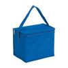 Celsius Cooler Bag