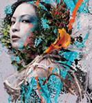 

CD KAHIMI KARIE - Montage VICL61374 Victor 2004 Japan ObiDance & Electronica Used