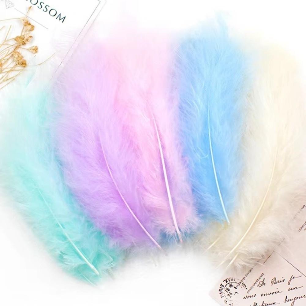 50PCS Natural Feather Colored Feather Decorations Lightweight Colored Feathers DIY Home Crafts