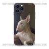 Funny Bull Terrier Dog Phone Case For iPhone 17 16,15,14,13,12,11 Plus,Pro,Max,XR,Plus,E,Mini Transparent Soft Cover