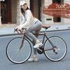 Chuanqin Retro Road Bike
