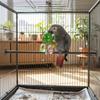 Parrot Chew Toy with Acrylic Spinning Ball_Chain Bird Cage Hanging Toy with Hook for Small Medium Birds