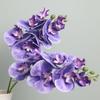 Neue 7-köpfige Filmtextur Schmetterlingsorchidee für Zuhause Hochzeit Bogenförmige DIY-Dekoration Tischvase Kunstblumen Outdoor Floral
