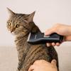 Waterproof Pet Electric Hair Clippers Professional Pet Hair Trimmer  for Cats and Dogs