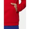 Adidas Future Icons Badge of Sport Hoodie