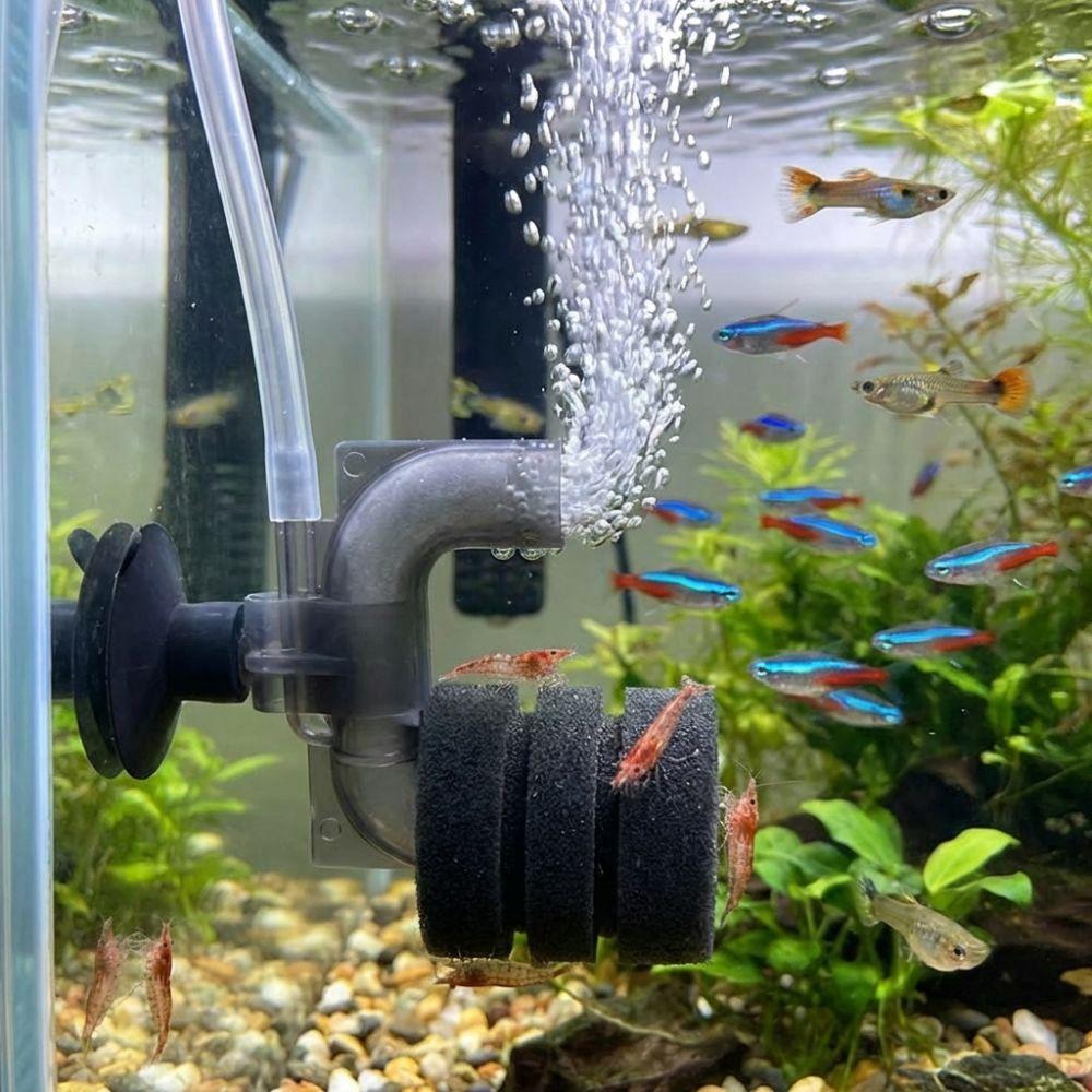 Increase Oxygen Aquarium Sponge Filter Suction Cup Air Driven Sponge Filter Biological Filtration