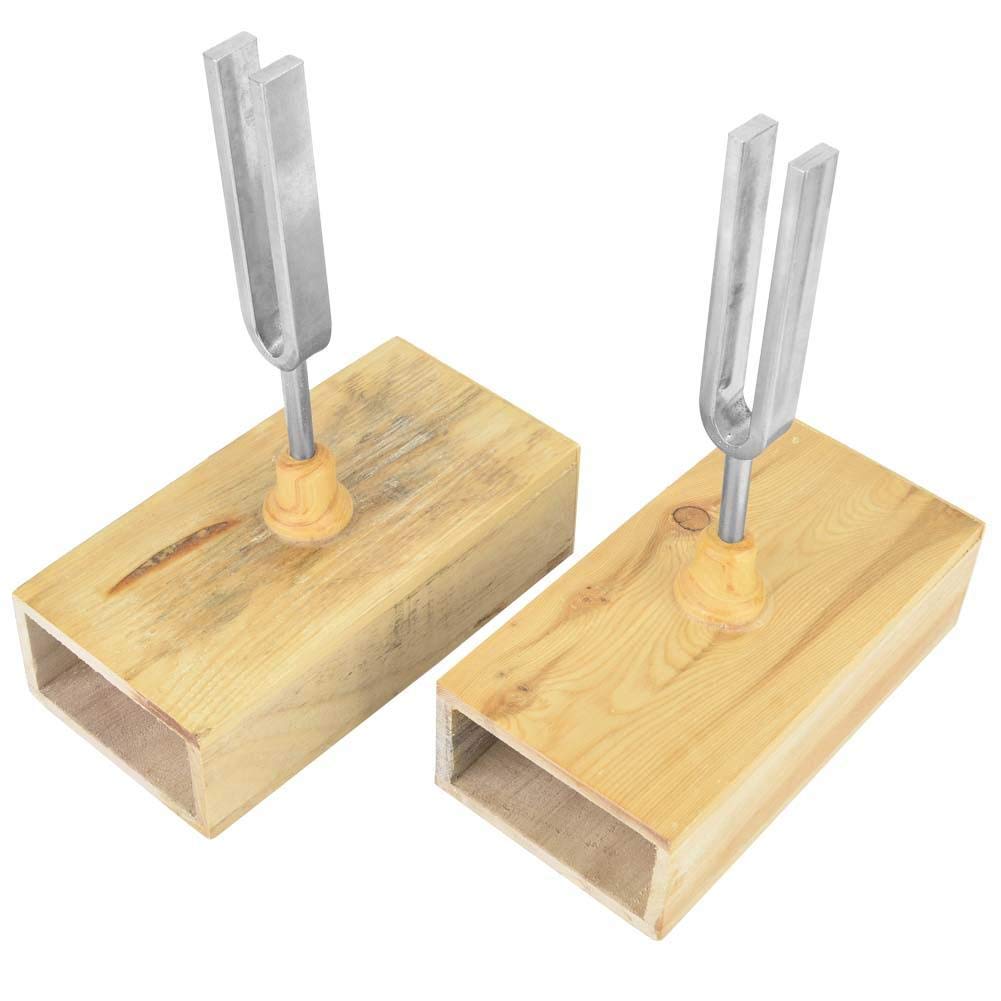 Walfront Resonant Tuning Fork Set (2 Pieces) with Resonator Box, 1 Tuning Fork Knocker, 45# Carbon Steel, 440Hz, Vibration Experiment Apparatus