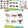Childrens Wild Asian Elephants Sloths Musk Oxen Tapirs Animal Pvc Figurine Set With Realistic Details For Educational Play